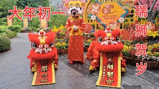 新加坡飞禽公园新春瑞狮贺岁🧧Singapore Mandi Bird Paradise CNY Lion Dance 🧧