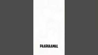 🥰🎶🖤மனம் விட்டு போச்சு விளக்கு சுடுது விவரம் புரியாம விளக்கும் அழுவுது 🎶🎶 ms editor 💚🤍