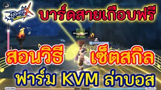 Ragnarok X | ROX EP.36 สอนเซ็ตสกิลบาร์ด คราว ฟาร์ม KVM ล่าบอส เซ็ตยังไง ตามสไตล์สายเกือบฟรี