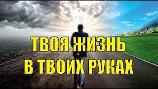 БЕРЁМ СУДЬБУ В СВОИ РУКИ 💢 Руслан Нарушевич [Ведическая психология]