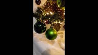 Pet-Quail Havoci Discovers Christmas Tree