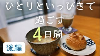 【アラフィフ独身女契約社員】一人暮らし気分を味わう4日間、ひとりといっぴき【後編】