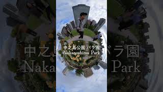 大阪中之島のバラ園を360度カメラで撮ってみたよ！#360度カメラ #insta360 #vr