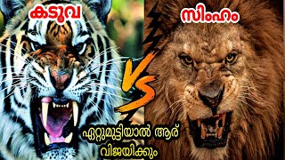 ആർക്കാണ് കൂടുതൽ ശക്തി | Lion vs Tiger, Who will win? | Truth Finder