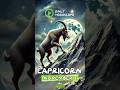 Capricorn Horoscope Today - November 8, 2024 | Discover What the Stars Have in Store! #Capricorn