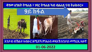 #ReconstractTigray ፣ ገባር ትግራይ ካብ ብዕራይ ናብ ትራክተር፣ ክብ ብኽልተ ኣብዑር ምሕራስ ብሓደ ብዕራይ ምሕራስ