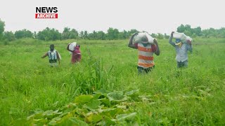 Minister Young Promises Technology Rollout To Boost Agriculture