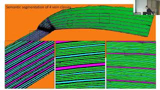 Sam Leiboff: The Secret Genetics of Maize Veins