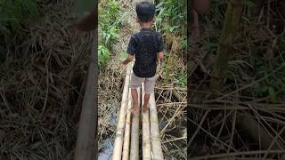 MASIH EDISI MANCING MALAH AKU KENA SIAL #shorts #minivlog #diy #bolang #mancing #viralvideo