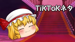 【TiKToKネタ】おねえちゃんあーと