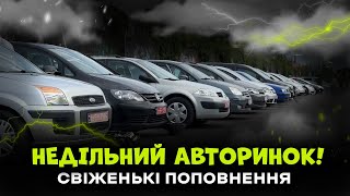 НЕДІЛЬНИЙ АВТОРИНОК! СВІЖЕНЬКІ ПОПОВНЕННЯ!