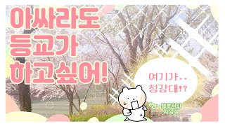 [VLOG] 🎨 청강대 만창과 브이로그 l 드디어 등교! 청강대 캠퍼스 맛보기, 비대면 수업듣는 일상