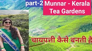 Beautiful Tea Gardens Of Munnar kerala /मुन्नार केरल के चाय बगान चाय कैसे तैयार किया जाता है part -2