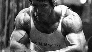 Arnold Schwarzenegger Bodybuilding Training - The Legacy