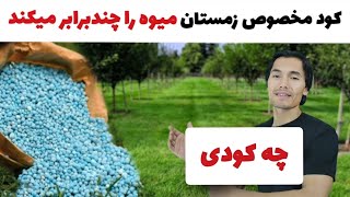 چه کودی در خزان، زمستان و بهار به درختان میوه بدهم تا حاصل میوه سال آینده چندبرابر شود؟