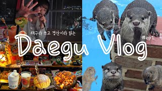 [vlog] 귀여운거 잔뜩🦦 대구 옆 경산여행 브이로그｜이웃집수달｜경산카페추천｜신라식당｜동성로 혼술집 노르웨이의숲｜ECC커피｜동성로 에어비앤비 추천｜스파크랜드 대관람차