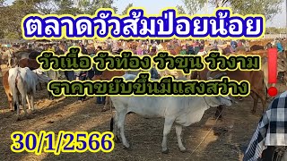 ตลาดนัดวัวส้มป่อย 30/1/2566 นัดนี้วัวท้องวัวเนื้อวัวโครง วัวงาม❗เริ่มขยับปรับขึ้นเห็นแสงสว่างครับ❗