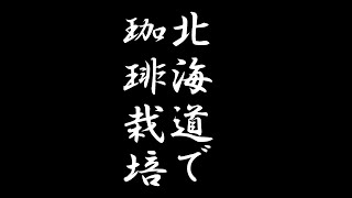 北海道で珈琲栽培に挑む！とある農家さんの物語～序章～