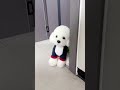 节奏盒子 家庭 搞笑 cute