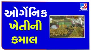 Surendranagar farmers earn lakhs by practicing organic farming | TV9News