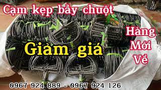 Cạm kẹp bẫy chuột, bẫy đa năng , cạm kẹp giá rẻ nhất thị trường