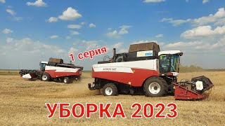 Уборка урожая 2023 в Башкирии. Убираем озимую пшеницу.