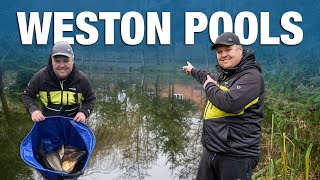 The Final Festival Of 2024! | Weston Pools Catch-Up