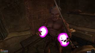 Why Elder Scrolls III: Morrowind is Awesome