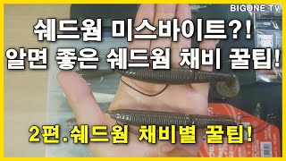 버징?벌징?스위밍?쉐드웜 채비 꿀팁! 2편. 쉐드웜 채비꿀팁!