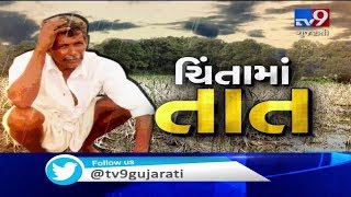 Porbandar: Farmers depressed as fields in Madhavpur Ghed left waterlogged | TV9GujaratiNews