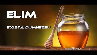 Elim - Exista Dumnezeu