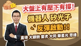 陳石輝【點石成金】大盤上有壓下有撐！機器人 矽光子 反彈啟動！！直得 大銀微 雷虎 大同 華星光 眾達 20250306