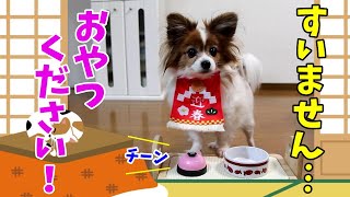 【犬と呼び鈴】爆笑！ベルをめちゃくちゃ連打しておやつをねだる犬　まるで、わんこそば！