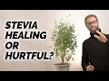 Stevia - Healing or Hurtful? A Non-Sugar Sweetener. What does the science show?