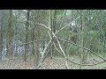 Sasquatch Awareness Project - Stick Structures