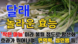 달래의 놀라운 효능 8가지 \u0026 부작용 / \