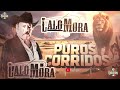 lalo mora sus Éxitos de oro🎸lalo mora expert reveals the greatest corridos of all time