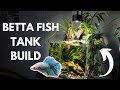 BETTA FISH TANK BUILD! Budget Edition