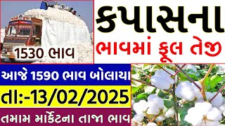 Kapas na bhav | 13-02-2025 | કપાસના ભાવ:2025 | Information about cotton crop price | Commodity Trend