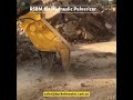 rsbm hydraulic pulverizer