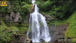 [4K ASMR] Waterfall sound / Healing / Nature sounds / Healing sounds