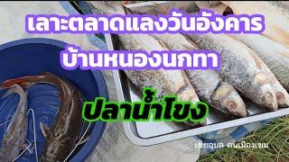 บ้านเฮาบ่อึดแนวอยู่แนวกิน เลาะตลาดนัดแบบบ้านๆ