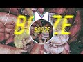 Kxngajaymusic booze official audio