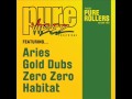 ARIES & GOLD DUBS - 90's DUB - PURE VIBEZ