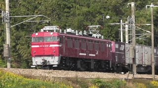 お化粧直しの”ED76-1015号機”、綺麗な状態の釜をテンハルで撮ってきました♪