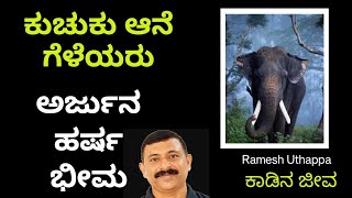 ಕಚುಕು ಆನೆ ಗೆಳೆಯರು  ಅರ್ಜುನ ಹರ್ಷ ಭೀಮ | arjuna harsha bheema elephant|