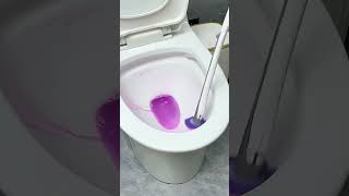 Baojiajie Disposable Toilet Brush