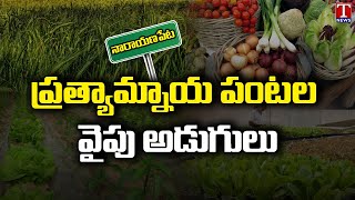 Narayanpet Farmers Implementing CM KCR advice on Alternative crop farming | T News