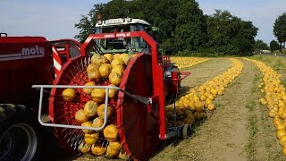 COLHEITADEIRAS INCRÍVEIS MAQUINAS GENIAIS AGRICULTURA MODERNA