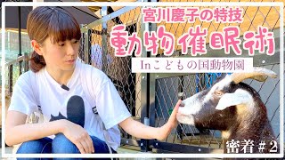 アーティスト・宮川慶子の特技 動物催眠術 Inこどもの国動物園